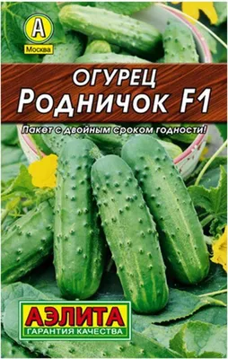 Семена огурцов пчелоопыляемых Родничок F1 (Инк.): продажа, цена в  Миргороде. Семена и рассада овощных культур от \"Інтернет-магазин \"ГЕЛІОС\"\"  - 1484210356