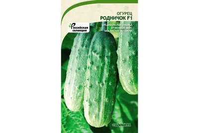 Семена для Вас - Купить Семена. Огурец \"Родничок F1\", 1 грамм (55шт).  Гибрид, раннеспелый, пчелоопыляемый Почтой по низкой цене