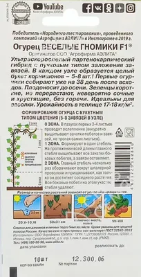 Выбираем урожайные огурцы без болезней и пустоцветов — Ботаничка