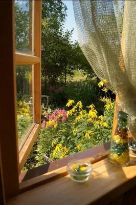 Фотообои Окно с видом на сиреневый сад артикул Wi-032 купить в  Екатеринбурге | интернет-магазин ArtFresco