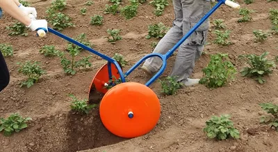 Эффективное окучивание картофеля - полезные статьи о садоводстве от  Agro-Market24