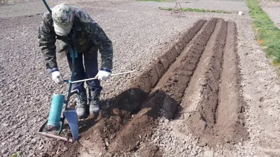 Купить культиватор окучник для минитрактора 3 рядный ОК-3 недорого в Украине