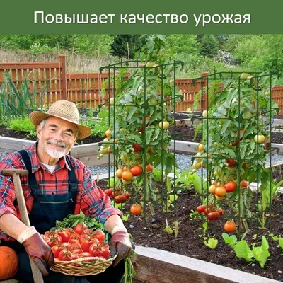 Опора для растений 8мм 1м (10шт) (ID#1602470946), цена: 175 ₴, купить на  Prom.ua