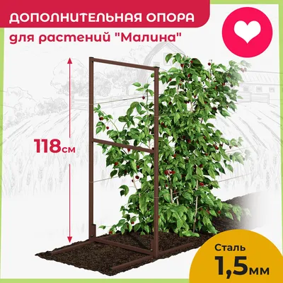 Опора для растений \"COBRA\", прозрачная, 30 см - купить в Москве, цены на  Мегамаркет