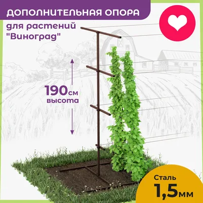 Опора для растений FormPlastic 0311-011 29.9х46 см, белая 067563 - выгодная  цена, отзывы, характеристики, фото - купить в Москве и РФ