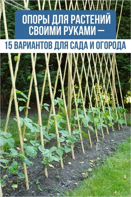 Купить Пластиковая опора для растений диаметром 20 см, 6 элементов/уп по  цене 9.00 грн. от производителя