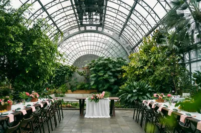 Event Hall Таврический Сад - проведение свадьбы в Санкт-Петербурге | WedWed