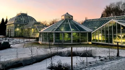Фото: Tropical Chic: свадьба в Оранжерее Таврического сада (43)