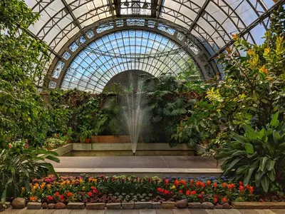 Фото: Tropical Chic: свадьба в Оранжерее Таврического сада (6)