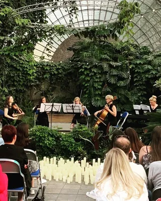 MAMADO - Оранжерея Таврического сада, СПб