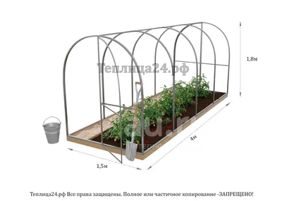 Необычные способы применения теплиц: 10 разных вариантов | Дела огородные  (Огород.ru)