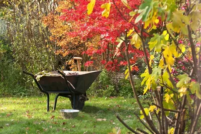 Осенние работы в саду | Ландшафтный дизайн | Дзен