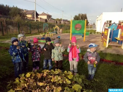 Фотоотчет «Осенние работы на огороде» (8 фото). Воспитателям детских садов,  школьным учителям и педагогам - Маам.ру