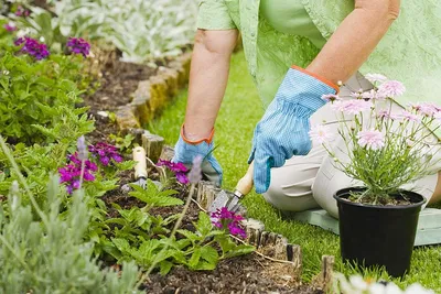 Работы на даче в октябре: осеннние работы в саду и огороде – подготовка к  зиме | Houzz Россия