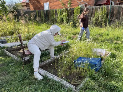 ПалиСАДник - Ландшафтный дизайн - ⁉️Важные осенние работы в саду: 🍁уборка  опавших листьев с газона; 🍄профилактическая обработка газона от болезней;  🥀уборка отцветших многолетников; 🧅посадка луковичных растений;  🌳санитарная Обрезка декоративных ...