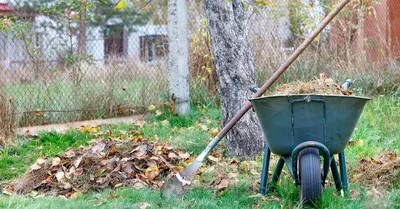 Осенние работы в саду и огороде: что и в какие дни можно посадить в  октябре. Читайте на UKR.NET
