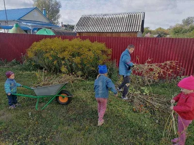 Осенние работы на даче | Дача Сегодня