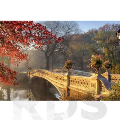 Обои на рабочий стол Волшебный осенний сад в Hyde Hall Gardens /  Гайд-Халл-Гарденс, by Paula W, обои для рабочего стола, скачать обои, обои  бесплатно