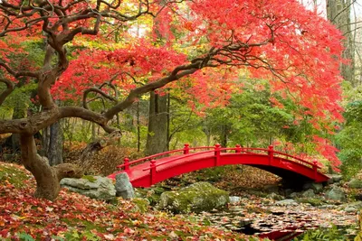 🍁 3 СПОСОБА СДЕЛАТЬ САД ЯРКИМ В ОСЕННИЙ ПЕРИОД 🍁 🍂 Осенний сад — это не  жухлые листочки и голые веточки! В ваших силах сделать его… | Instagram