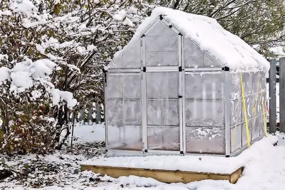 Тепличное хозяйство: как хобби сделать бизнесом?