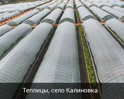 Отопление теплицы обогрев