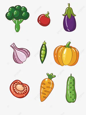 Польза фруктов и овощей в рационе: насыщение организма питательными  веществами и поддержание здоровья | YAMDIET