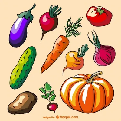Овощи фото рисунки фото