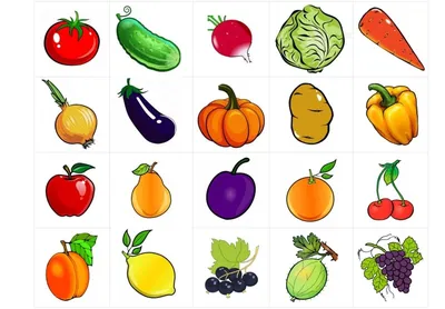 Овощи и фрукты, вектор фон Stock Illustration | Adobe Stock