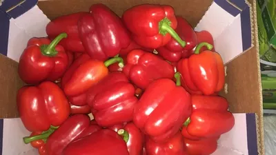Фото до оголошення: овощи, фрукты, цитрусовые и свежая зелень из Израиля —  Agro-Ukraine