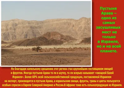 ВОСТОЧНЫЙ БАЗАР // Цены на базаре: специи, фрукты, овощи / Рынок в Израиле.  Шук в Рамле - YouTube