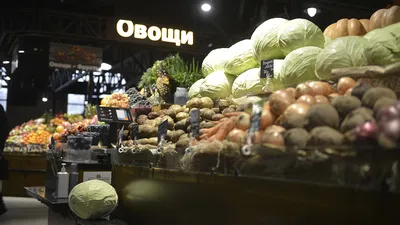 большой набор овощей корнеплоды. цвет воды Иллюстрация штока - иллюстрации  насчитывающей половинно, корень: 245368461