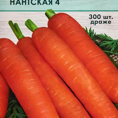 Онлайн пазл «Овощи корнеплоды»