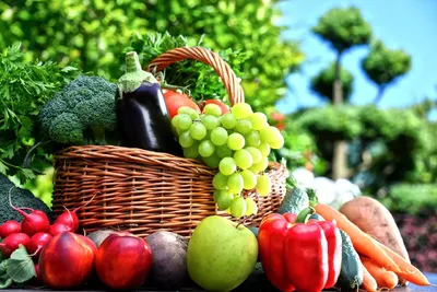 Как выбрать качественные фрукты и овощи?