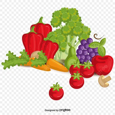 Gardening for kids, Vegetables, Fruits and vegetables