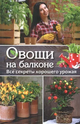 Огород на балконе: как вырастить свои овощи и фрукты на небольшом  пространстве. | Огородник_52 | Дзен