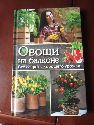 Как выращивать огурцы на балконе - Agro-Market24