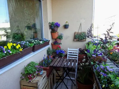 Огородик на балконе