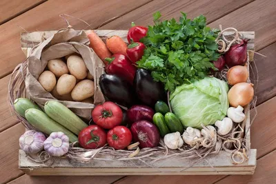 Как вырастить овощи и микрозелень дома – советы и правила - Lifestyle 24
