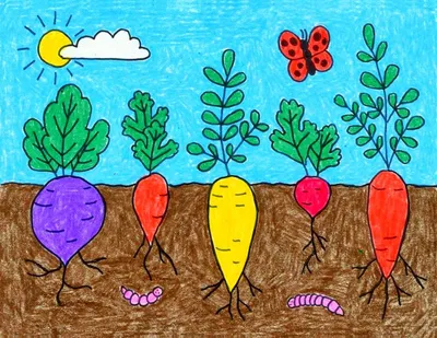 Смешанные посадки овощей на грядке - Мир Садоводства