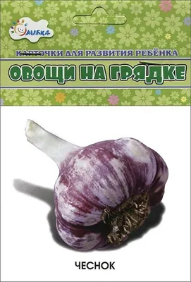 Смешанные посадки овощей на грядке. Сведение к минимуму ущерба от  вредителей. - YouTube