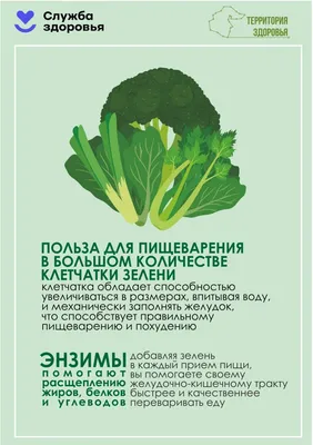 Как хранить овощи и фрукты дома: что должно быть в холодильнике, а что - на  столе