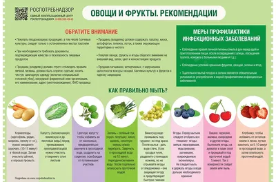 Учим названия овощей играя. Для детей от 1,5 - 2 лет | Мечтательная кошка |  Дзен