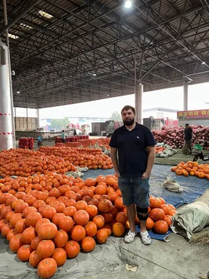 Список продуктов, которые отбирают силы: какие овощи и фрукты лучше есть  днем, а какие вечером - | Диалог.UA