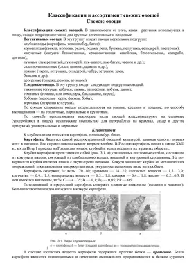 картинки : брокколи, Овощной лист, крестоцветные овощи, цветная капуста,  Брокколи, Пища, растение, Суперпродукты, производить, Капуста, wild  cabbage, цветок 6000x4000 - - 1629158 - красивые картинки - PxHere