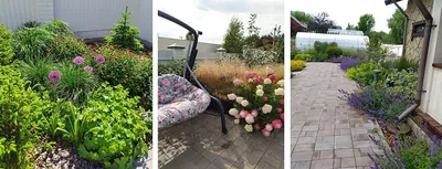 Озеленение и дизайн сада. Garden design and gardening