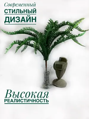 Садовый плющ в ландшафтном дизайне | ЗЕЛЕНОЕ СТРОИТЕЛЬСТВО