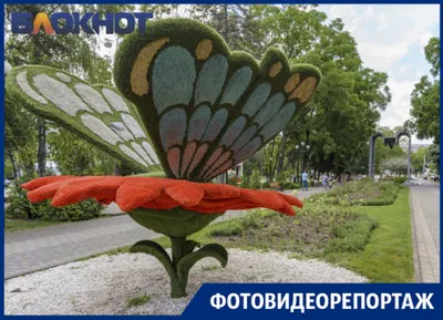 Городской сад: рядом с историей, посреди природы и тишины, на территории  развлечений и в центре Краснодара