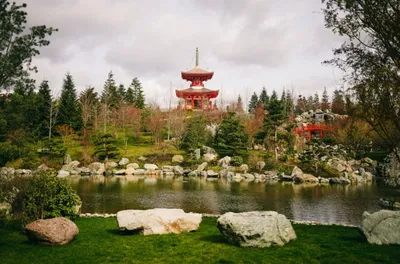 Городской сад (Горпарк) в Краснодаре | Titam.ru