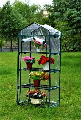 https://arkhangelsk.leroymerlin.ru/product/mini-parnik-dlya-rassady-pvh-34x28x95-sm-20-gnezd-86763366/