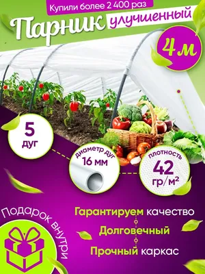 Мини-парник для рассады,435х215х130мм,с крыш,под 3кассеты 64308/64309,к-т  из 2част - отзывы покупателей на Мегамаркет